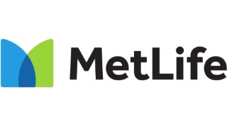 Metlife auto insurance in Chippewa County, MN